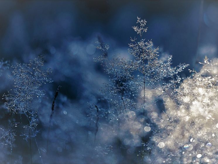 21 ноября в Украине ожидаются дождь и мокрый снег – Укргидрометцентр