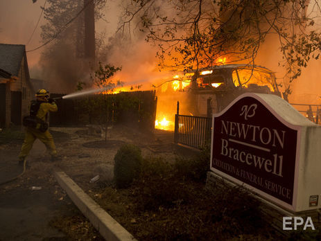 ﻿Кількість жертв лісових пожеж у Каліфорнії сягла 84 осіб