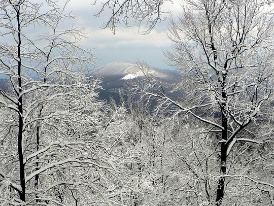 ﻿22 листопада в Україні прогнозують сніг та ожеледицю – синоптик 