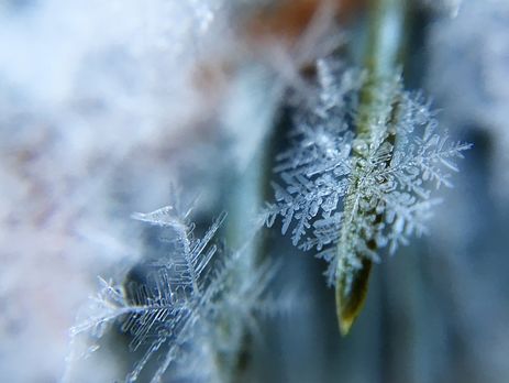 Синоптик: 25 ноября в Украине пройдут дожди и мокрый снег