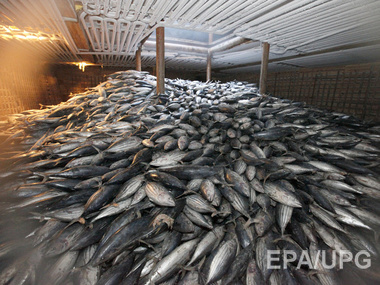 Россельхознадзор не пустил в аннексированный Крым 40 тонн рыбы из Херсона