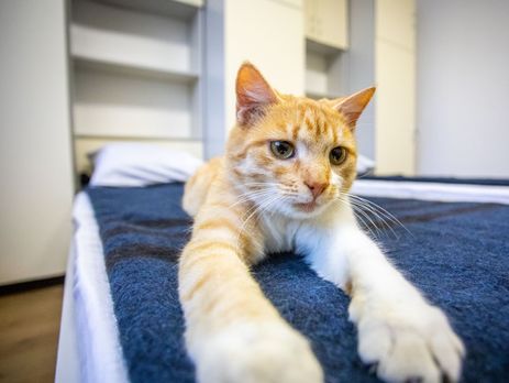 Порошенко поздравил с новосельем 