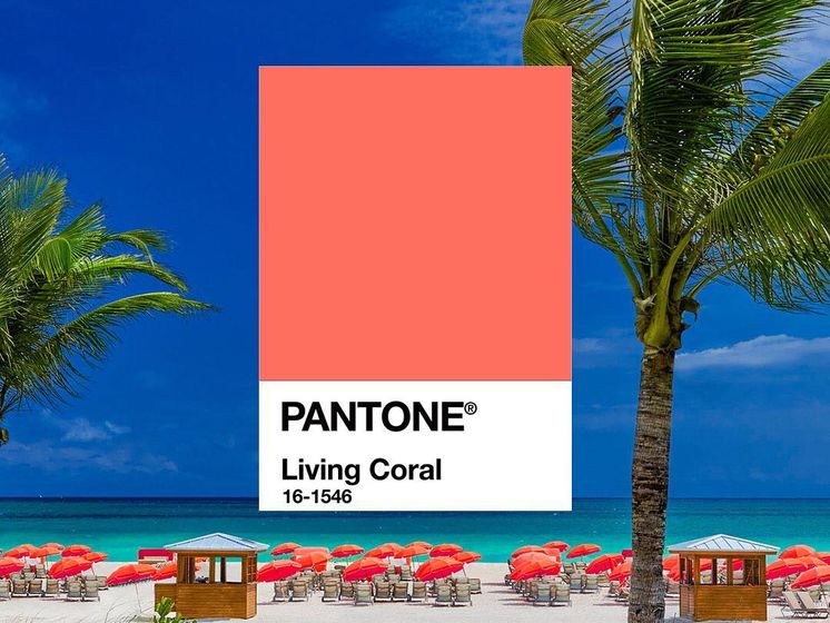 Институт цвета Pantone назвал самый модный оттенок 2019 года