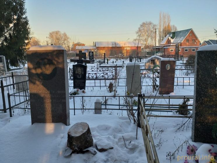 В российском Стерлитамаке елку для детского городка срубили на кладбище
