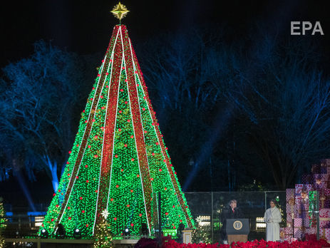 Мужчина залез на елку возле Белого дома, его отправили в психиатрическую клинику