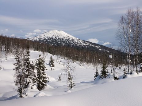 Трехлетний мальчик самостоятельно выбрался из тайги в Хабаровском крае России, после того как его отец провалился под лед