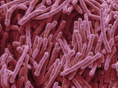 Ученые сообщают о революционном открытии в сфере антибиотиков