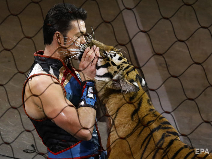 ﻿Кабмін підтримав ініціативу про заборону в Україні цирків із використанням тварин