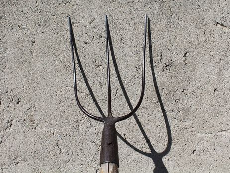 Зеленский один в один копирует слова Ляшко – политолог Цыбулько