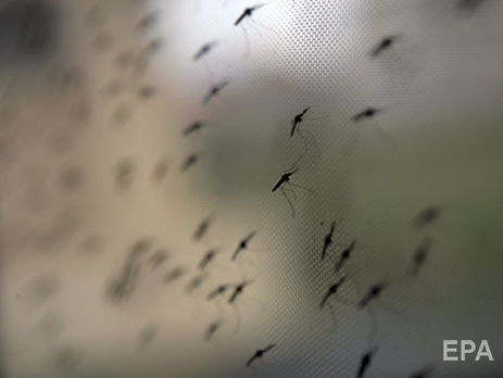 Мужчина заразился малярией во время поездки в Конго