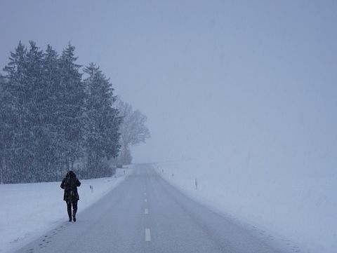 ﻿10 січня в Україні прогнозують хуртовини та мокрий сніг – синоптик 