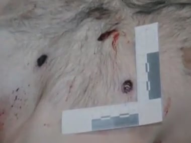 В интернете опубликовали видео трупов двух застреленных на Грушевского. Видео