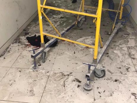 ﻿Чоловік, який постраждав унаслідок вибуху в торговому центрі в Києві, перебуває в реанімації – поліція