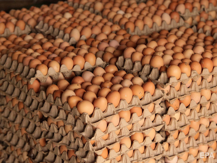 Яйцо по имени Юджин. Снимок куриного яйца установил мировой рекорд лайков в Instagram