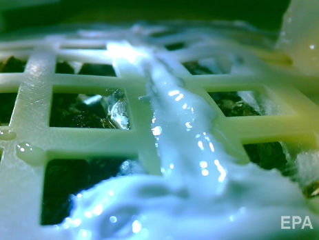 Китайские ученые вырастили хлопок на обратной стороне Луны