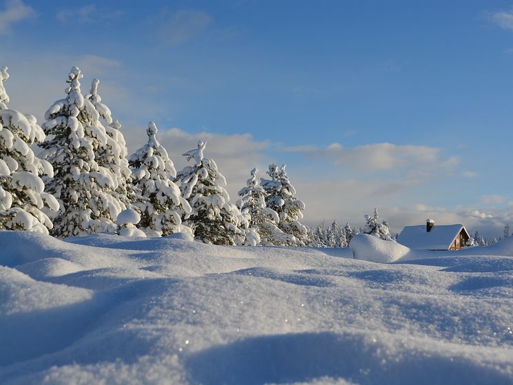 ﻿Синоптик: 22 січня в Україні посиляться морози, наступного дня прогнозують снігопади і заметілі