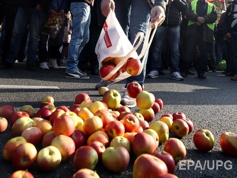 Россельхознадзор не допустил в аннексированный Крым партию польских яблок