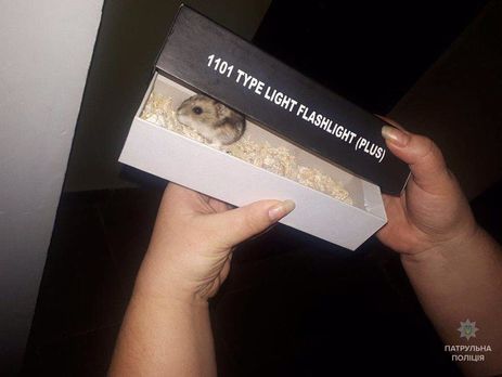 В Одессе полицию вызвали в связи с обнаружением подозрительного пакета с коробкой, в которой оказался хомячок