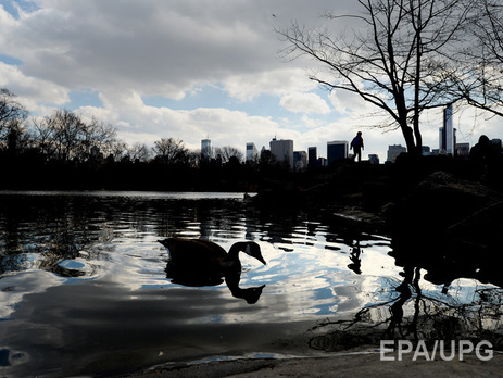 Весна в Украине начнется с тумана и дождей на севере