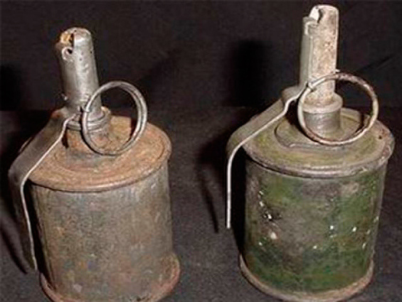 МВД: У жителя Житомирской области изъяли две гранаты времен Второй мировой войны