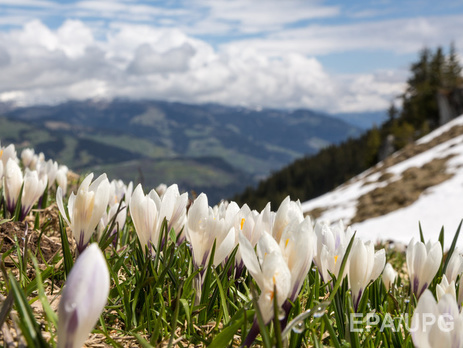 В ближайшие сутки в Украине сохранится теплая и солнечная погода