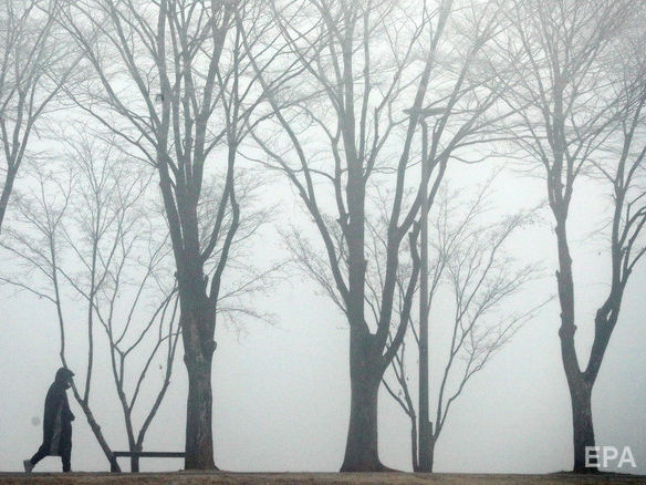 ГСЧС объявила о "желтом" уровне опасности из-за тумана