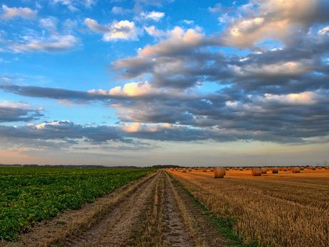За последний год государственные земли сдавались в аренду в два раза дороже, чем частные – Госгеокадастр