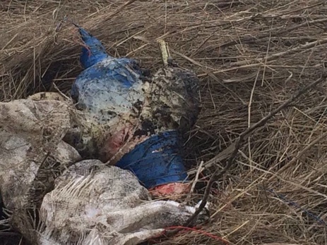 СБУ предотвратила теракт возле железной дороги в Луганской области