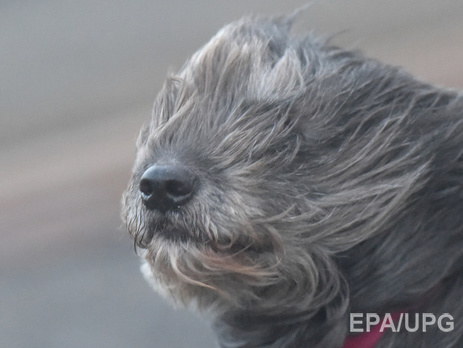 В Украину вернутся ночные заморозки