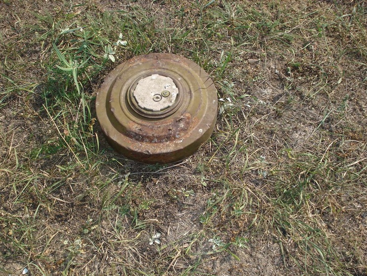 МВД: В Славянском районе из-за взрыва мины погиб 17-летний подросток