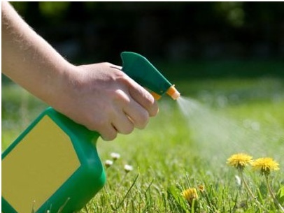 Международное агентство по изучению рака: Известный гербицид глифосат, вероятно, может вызвать рак