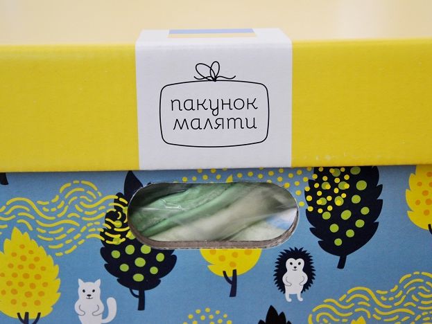 Українським сім'ям із 1 вересня 2018 року видали 95 тис. "пакунків маляти"