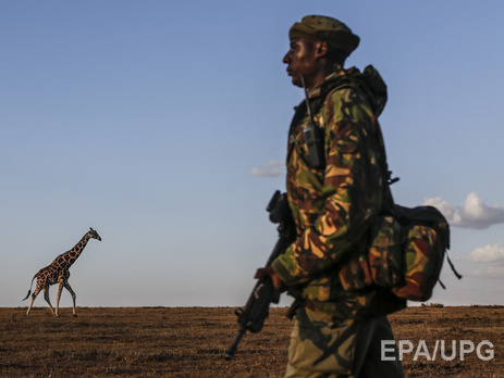 Кения намерена построить стену вдоль границы с Сомали