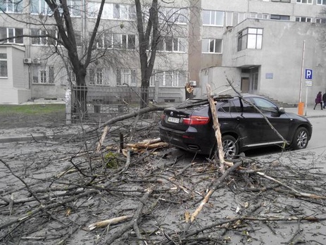 В Харькове сильный ветер повалил деревья и повредил крыши на зданиях. Фоторепортаж