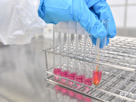 Российский академик предложил запретить молодым ученым выезд из РФ