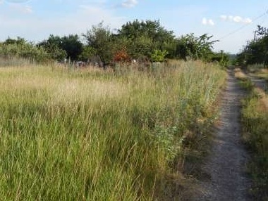 Киевсовет выдал земельные участки 23 семьям героев Небесной cотни