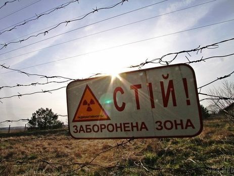 Пожар в Чернобыльской зоне ликвидировали – ГСЧС