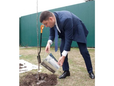 Гройсман посадил яблоню во внутреннем дворе Рады по случаю Дня окружающей среды