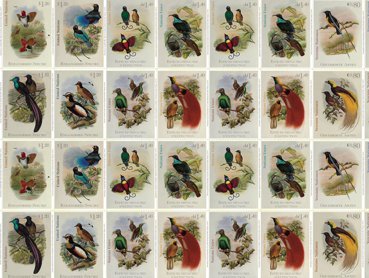 Почтовая администрация ООН выпустила комплект марок с изображениями райских птиц