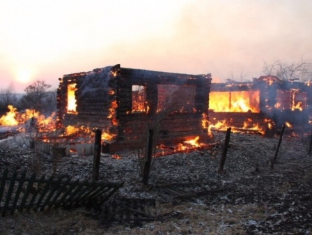 Власти Хакасии запретили посещать леса