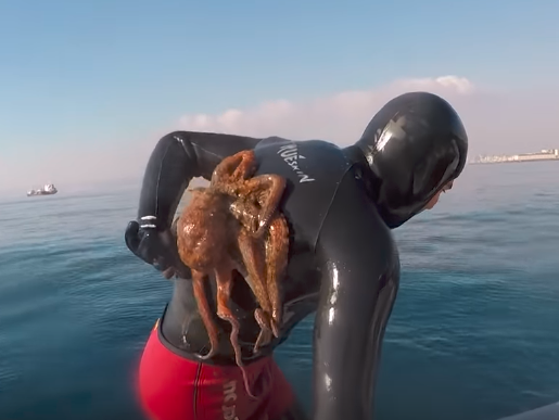 В Италии дайвер несколько минут не мог отцепить осьминога, присосавшегося к его спине. Видео