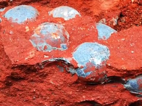В Китае обнаружена кладка яиц динозавров
