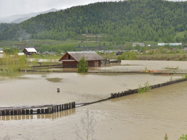 МЧС РФ: В Алтайском крае из-за паводков подтоплены 26 населенных пунктов