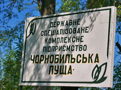 В зоне отчуждения горит 