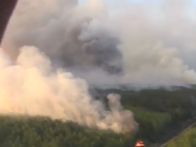 В 20 км от ЧАЭС на территории комбината "Чернобыльская пуща" горит лес. Видео 