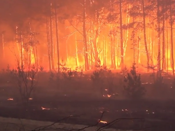 Спасатели второй день тушат лесной пожар вблизи ЧАЭС. Видео