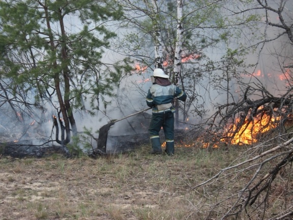 Госслужба по ЧС опровергла информацию, что лесной пожар возле ЧАЭС потушен