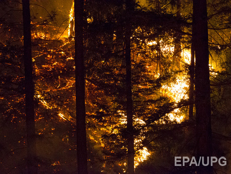 В Забайкалье бушуют более 50 лесных пожаров, погибли 7 человек