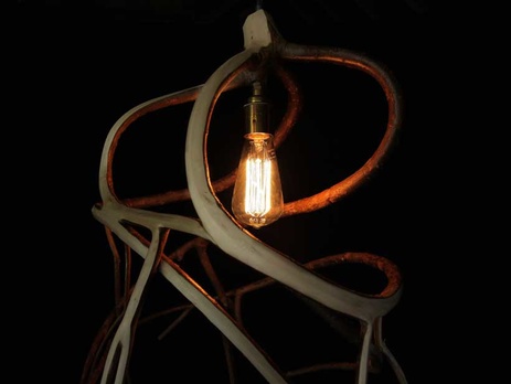 Британец выращивает мебель. Фоторепортаж