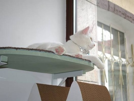 Во Львове переселенцы из Крыма открыли 